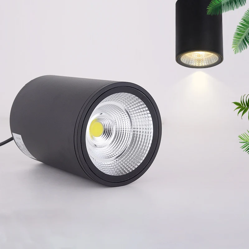 LED Waterproof IP65 COB Ceiling Downlight Surface Mounted Spot Lights for Porch Balcony Terrace Hotel Kitchen Bathroom