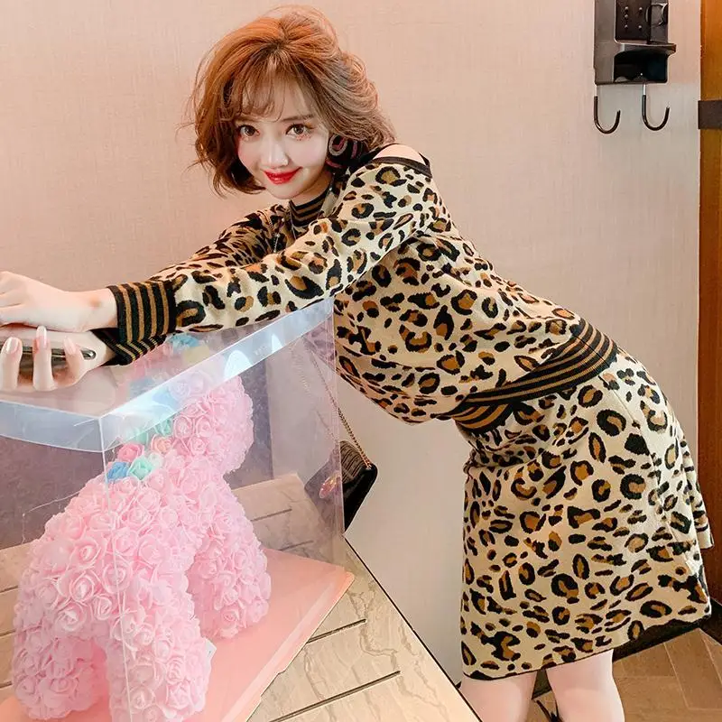 

Two-piece Women's Skirt Suit Strapless Leopard Print Blouse + Elastic Knit High Waist A-line Half Skirt Suit Women's Clothing