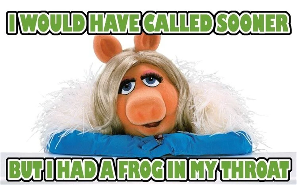 Мужская футболка Miss Piggy я бы назвала идеальный подарок на день рождения