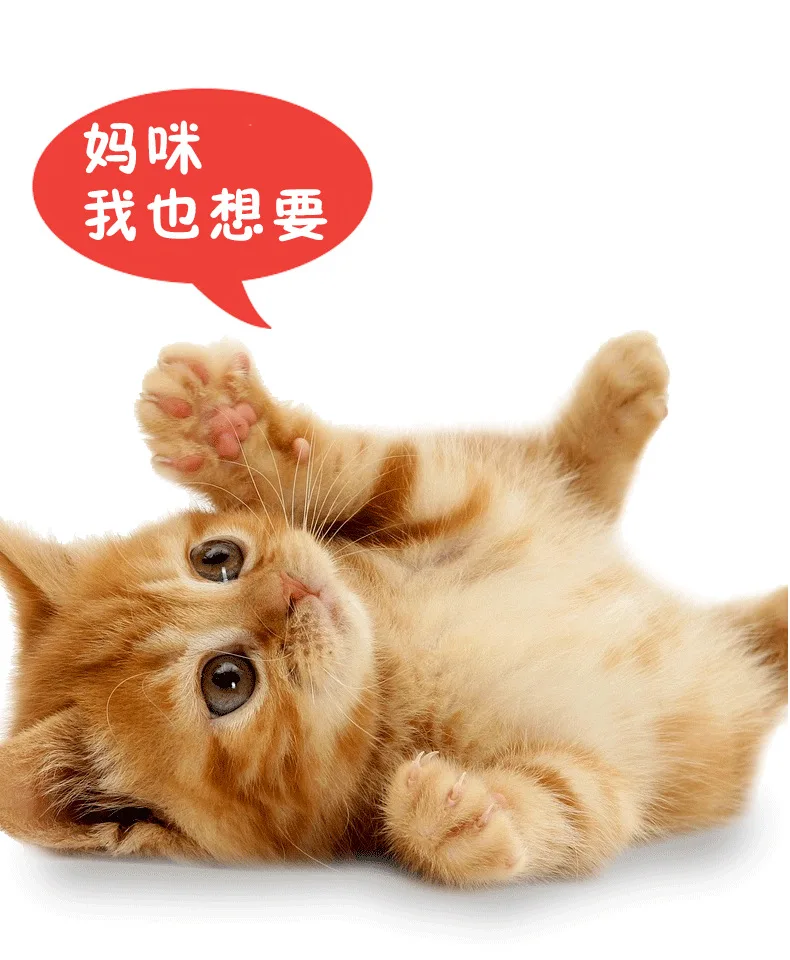 Поставка креативная искусственная рыба Catnip рыба Котик-тизер игрушечная рыба-образная подушка мультфильм рыба обыкновенный карась