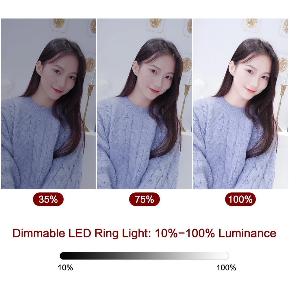 Beste 9 Inch Mini Led Verticale Dimbare Desktop Ring Licht Met Usb Plug Statief Stand Voor Youtube Video Live Foto Fotografie studio