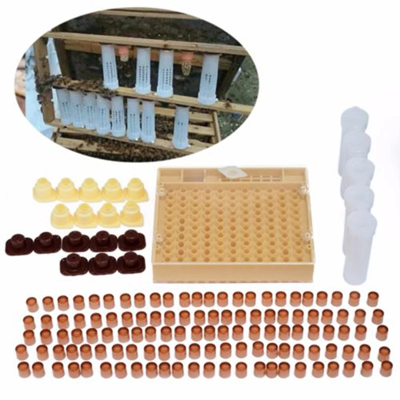 Bienenzucht 143 шт пчелиная королева система для выращивания клеток чашки ящик для пчеловодства набор инструментов для пчеловодства