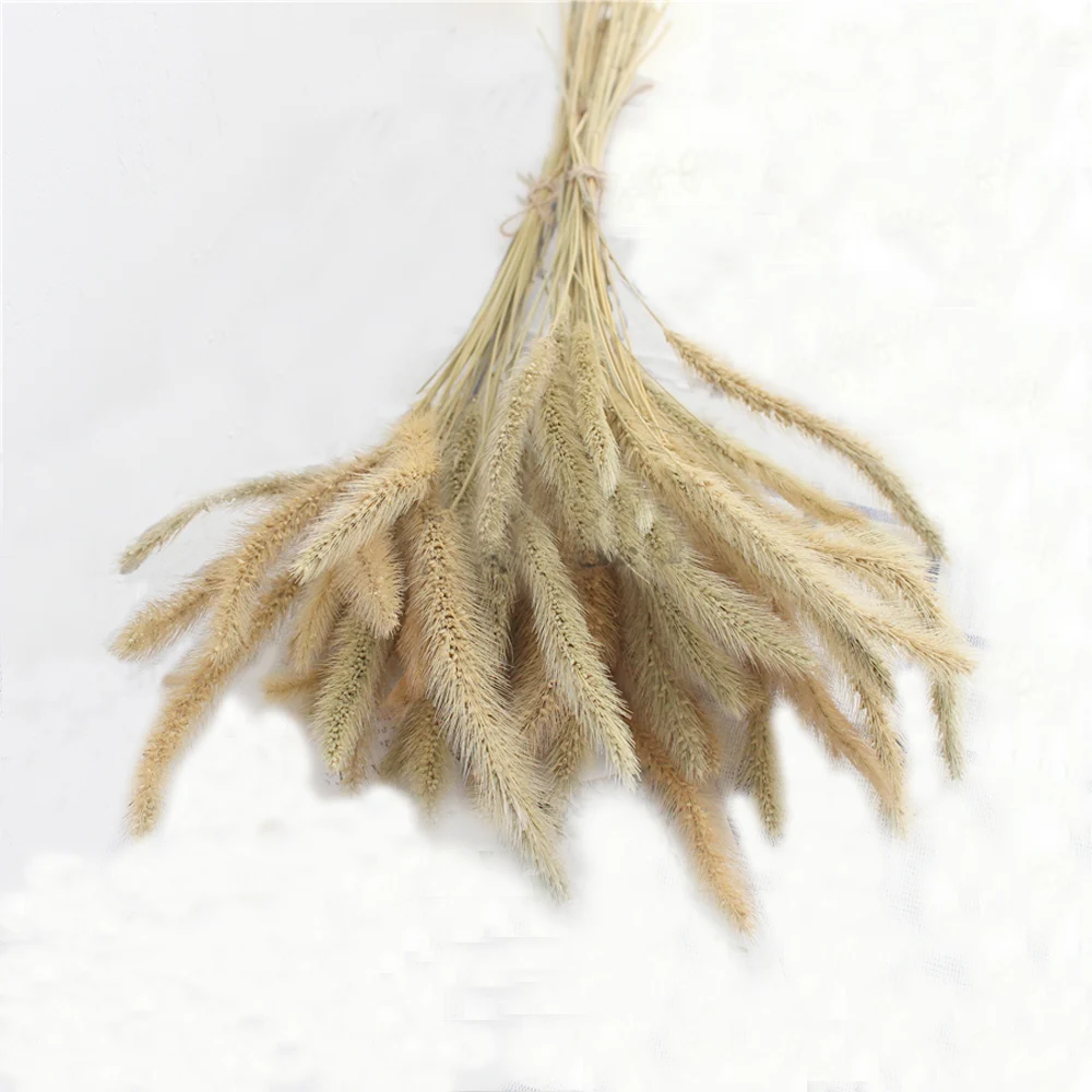 O1CN01FwJvdT1pAbborOKHA_!!293185320