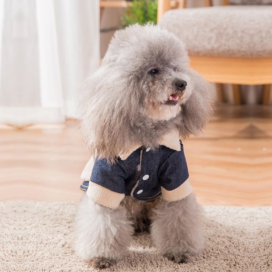Broken Code Winter Pet Dog Clothes Thick Jacket Coat Cowboy split joint Pet Apparel Chihuahua Teddy Cat Clothing for Small Dogs