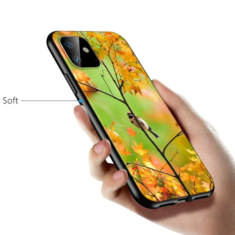 Animal Parrot Bird Silicone Cover For Apple IPhone 12 Mini 11 Pro XS MAX XR X 8 7 6S 6 Plus 5S SE Phone Case iphone 7 phone cases More Apple Devices