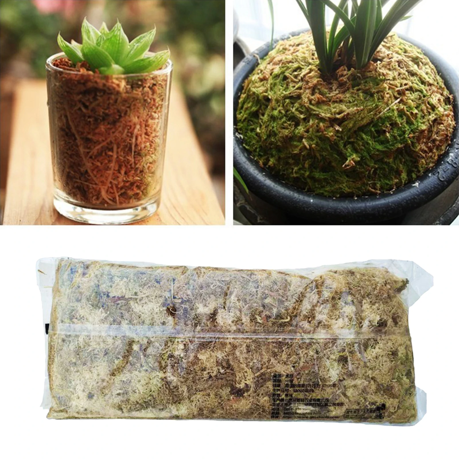 Dry Organic Matter Sphagnum Moss Orchids Soilless Cultivation