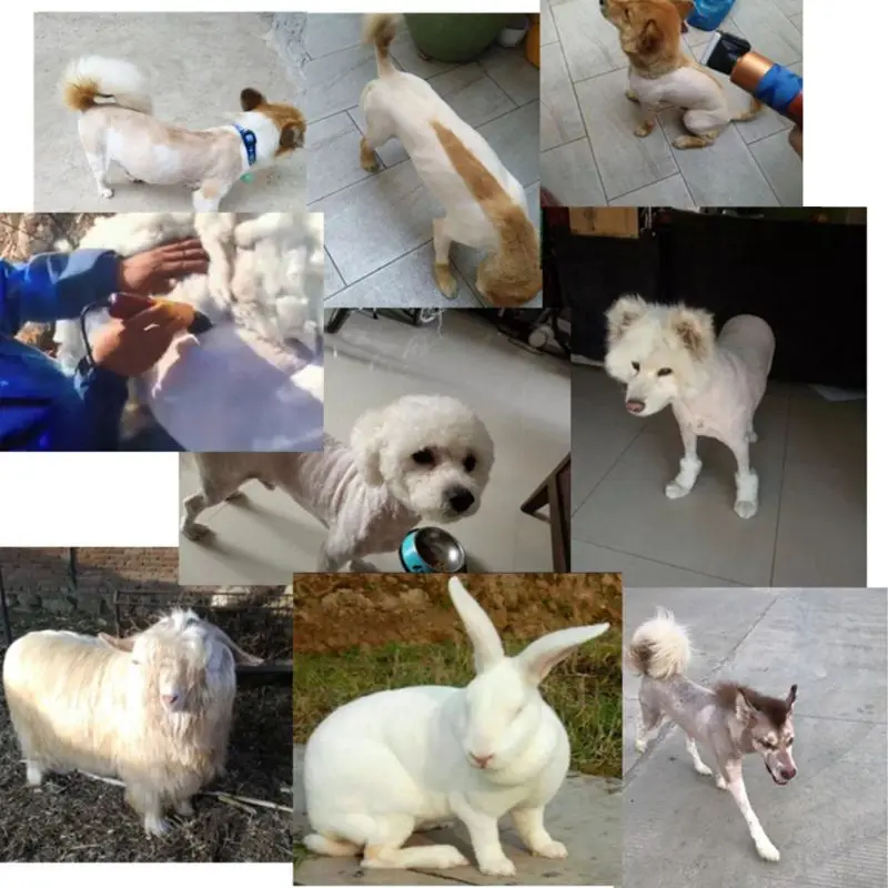 55 Вт Высокая мощность Кошка Pet электрические машинки для стрижки собак триммер для Стрижки животных бритва