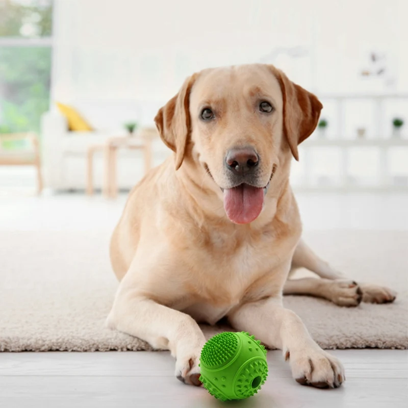 

Pets Rubber Ball Toy Teeth Cleaning Supplies Interactive Dog Rolling Multifunction Chew Toy