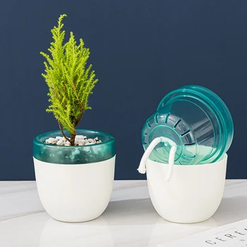 

Water-Free Water-Storing Flower Pots, Automatic Watering and Water-Absorbing Succulent Flower Pots