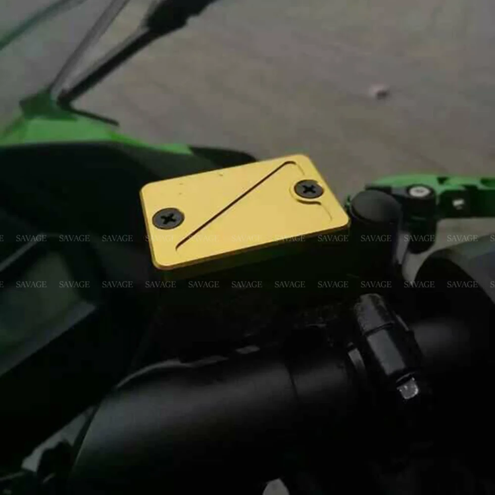 NINJA 300 (4)