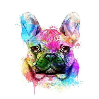 

Painting By Numbers unicorn dog Animals Adult Paint By Number Birds For Children DIY Coloring By Numbers schilderen op nummer