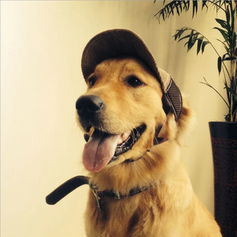 Сетка дышащая Pet Солнцезащитная шапка для спортивных занятий на свежем воздухе собака бейсболка Pet летний головной убор боди для чихуахуа аксессуары