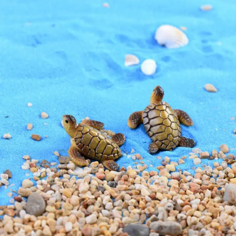 XE1172 (2)