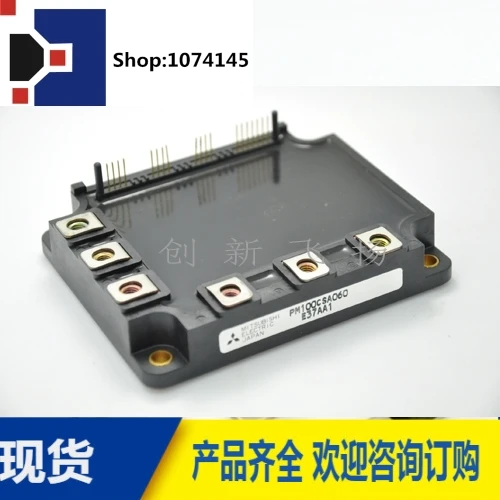 PM100CSA060/