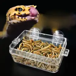 Рептилия Еда чаша анти-побег Черепаха Ящерица червь Еда контейнер