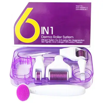 

6 in 1 Roller Kit for Face and Body - 0.25mm and 0.3mm Micro Needle with 5 Replaceable Roller Heads and Storage Case