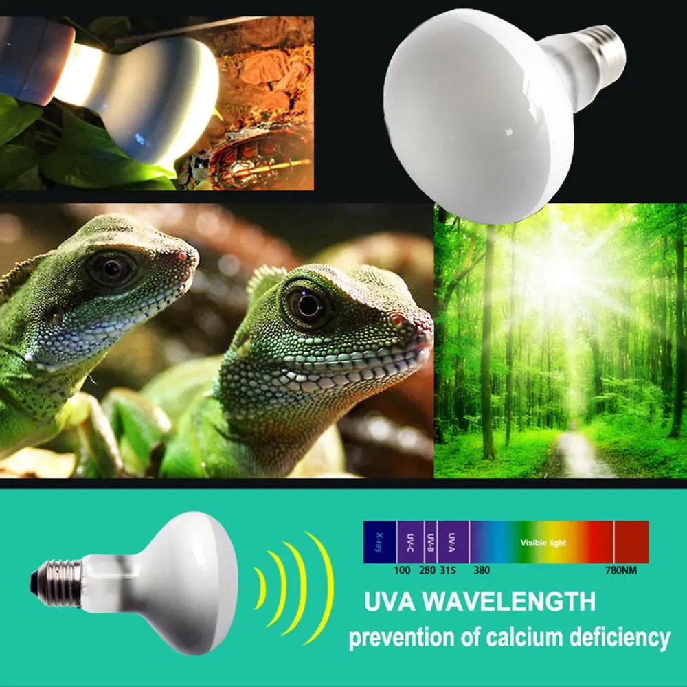 E27 220V 25/50/75/100W Рептилия; ящерица черепаха теплый свет тепло лампа обогреватель ультрафиолетовых лучей спектров/UVA галогенная лампа Температура контроллер