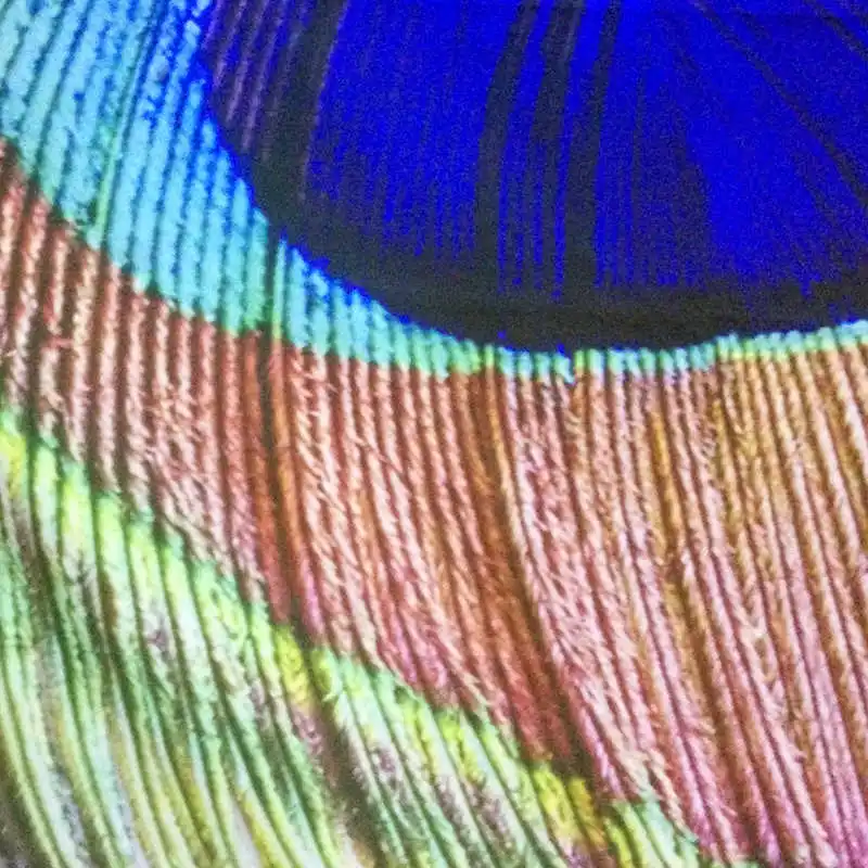_20180309225736