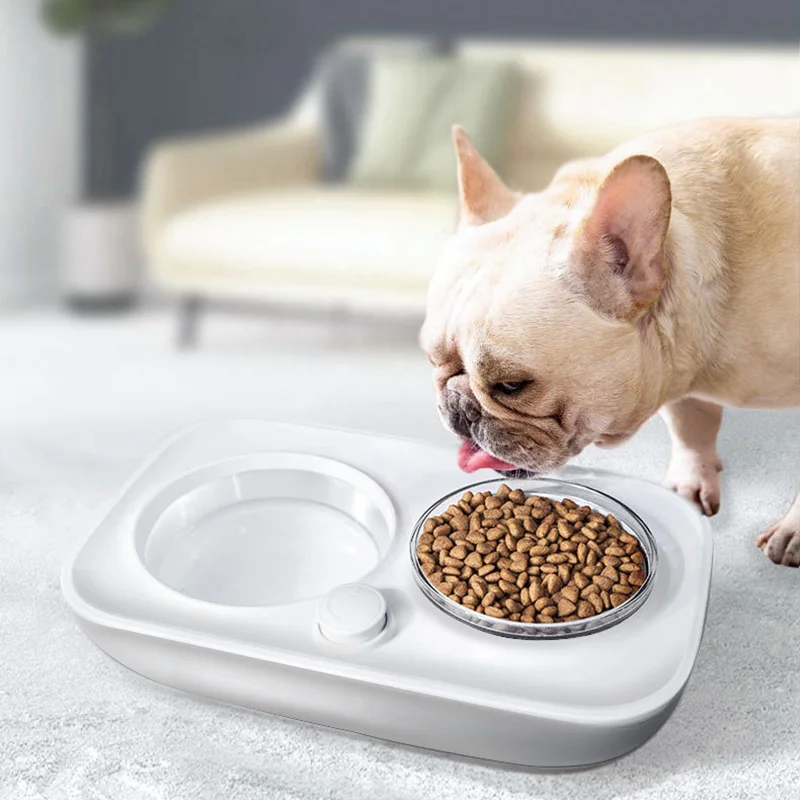 

Double Dog Cat Pet Food Bowls Automatic Water Dispenser Plastic Dishes Food Water Feeder For Dogs Cats 15 Degrees Tilt Angle 1