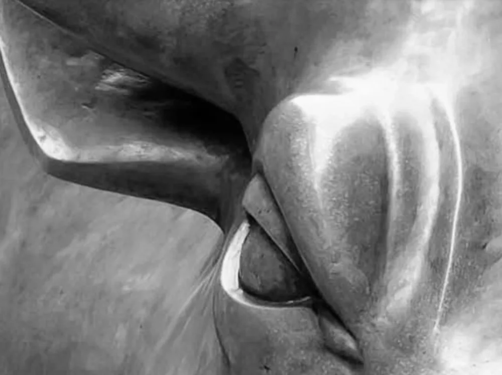 QQ截图20200105173747