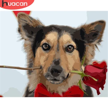 

HUACAN Painting By Number Dog Art Gift DIY Pictures By Number Animal Drawing On Canvas HandPainted Painting Kits Home Decor