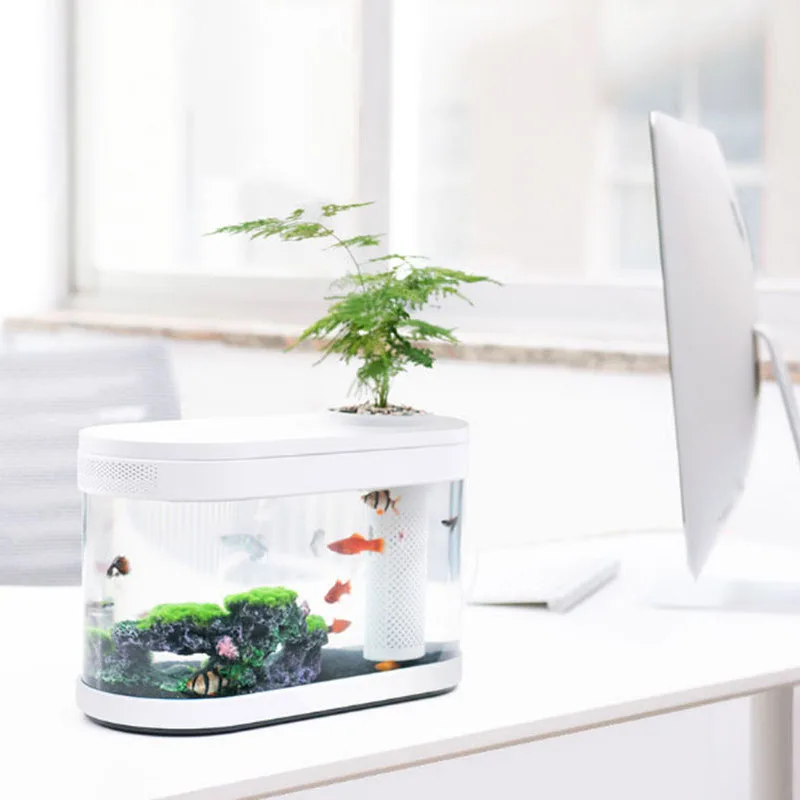 

Geometry Ecological Fish Tank Aquarium Small Water Garden Fish Tank Aquaponics Ecosystem Transparent Aquarium Home Decoration