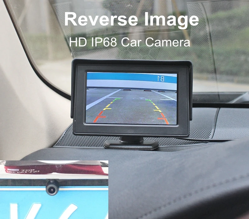 IMG_6521 小蝴蝶_副本