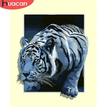 

HUACAN Painting By Numbers Tiger Animal Drawing On Canvas HandPainted Art Gift DIY Picture By Number Kits Home Decoration