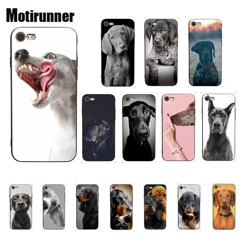 Чехол для телефона с изображением таксы Doberman собаки IPhone 8 7 6 6S 6Plus X XS MAX 5 SE XR 11 Pro Max |