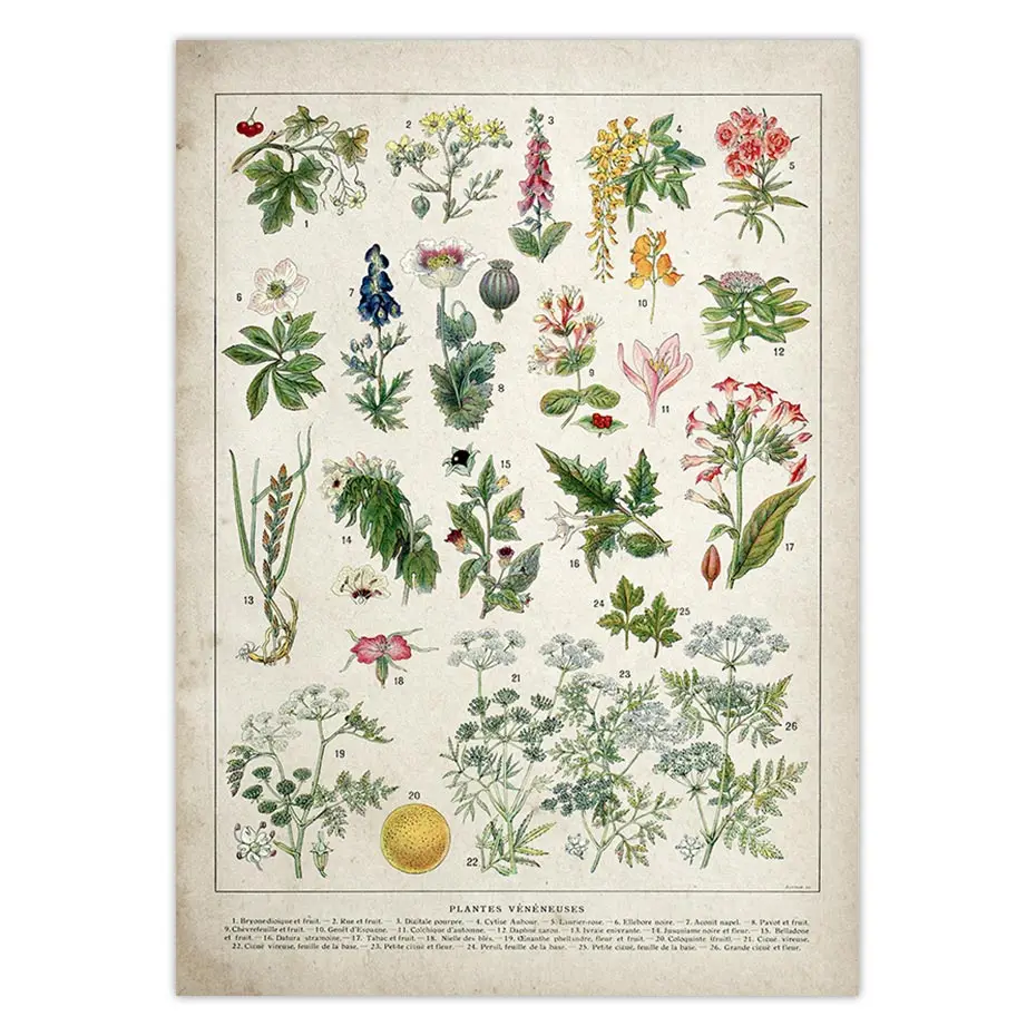 H09003eba83f947e4b91a710d8c153ef8u