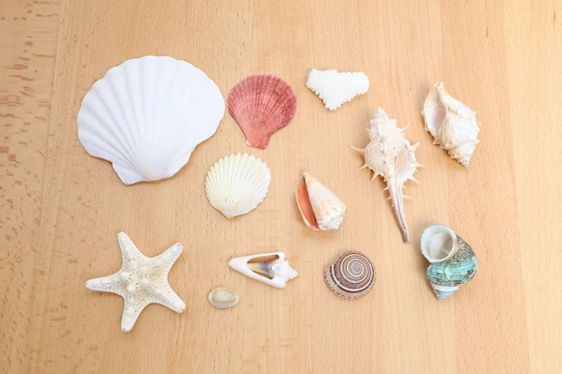 O1CN01Dpm2jM1ByS6cE4XaN_!!36560014