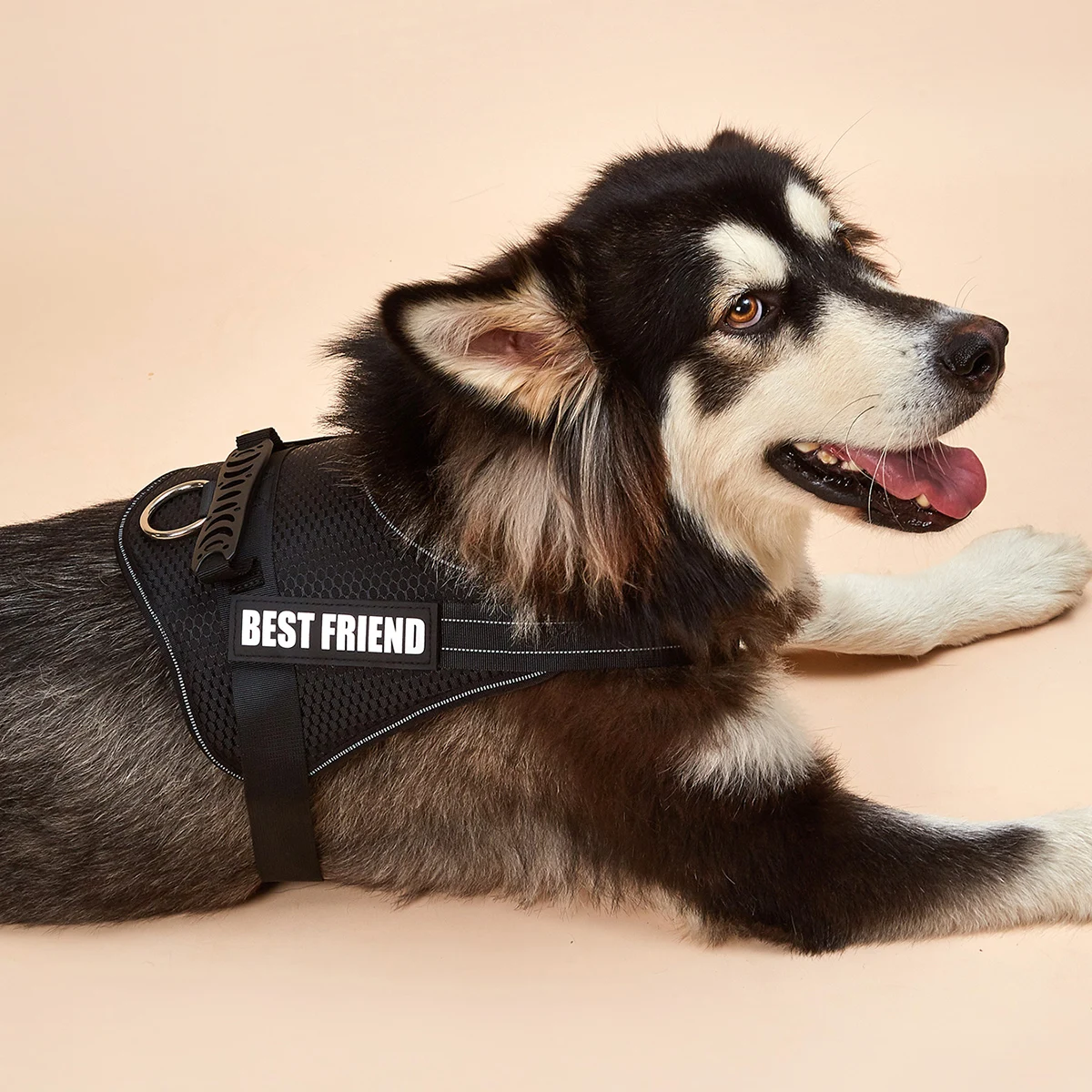 Dog Harness, No Pull BEST FRIEND Pet Vest Harness, Reflective