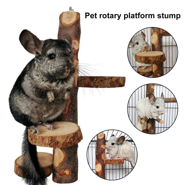 Are Bird Toys Safe For Chinchillas
