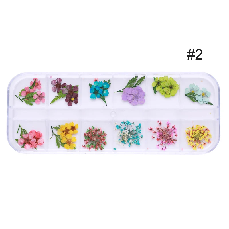 1 коробка для ногтей 3D украшение DIY микс сушеных цветов прекрасные пять лепестков наклейки для ногтей цветы для маникюра украшения для ногтей красота - Цвет: Pattern2