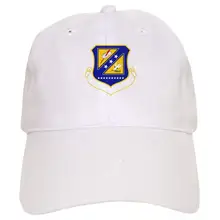 Бейсболка USAF 310Th Space Wing