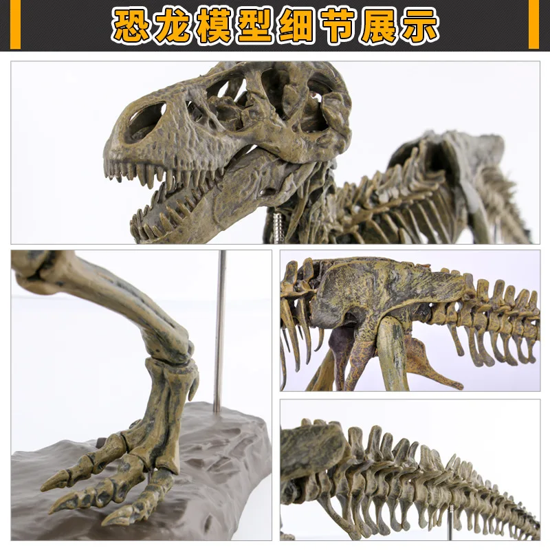 

2019 New Style Dinosaur Bone Fossils Model-Assembled Oversized Beautifully Tyrannosaurus Skeleton
