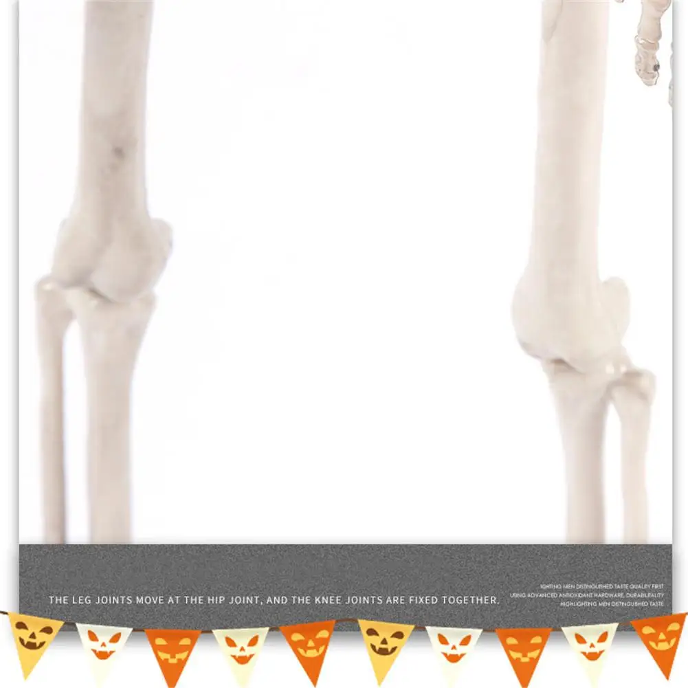 Poseable Skeleton Figure With Movable Joints Haunted House Props For Halloween Party Decoration