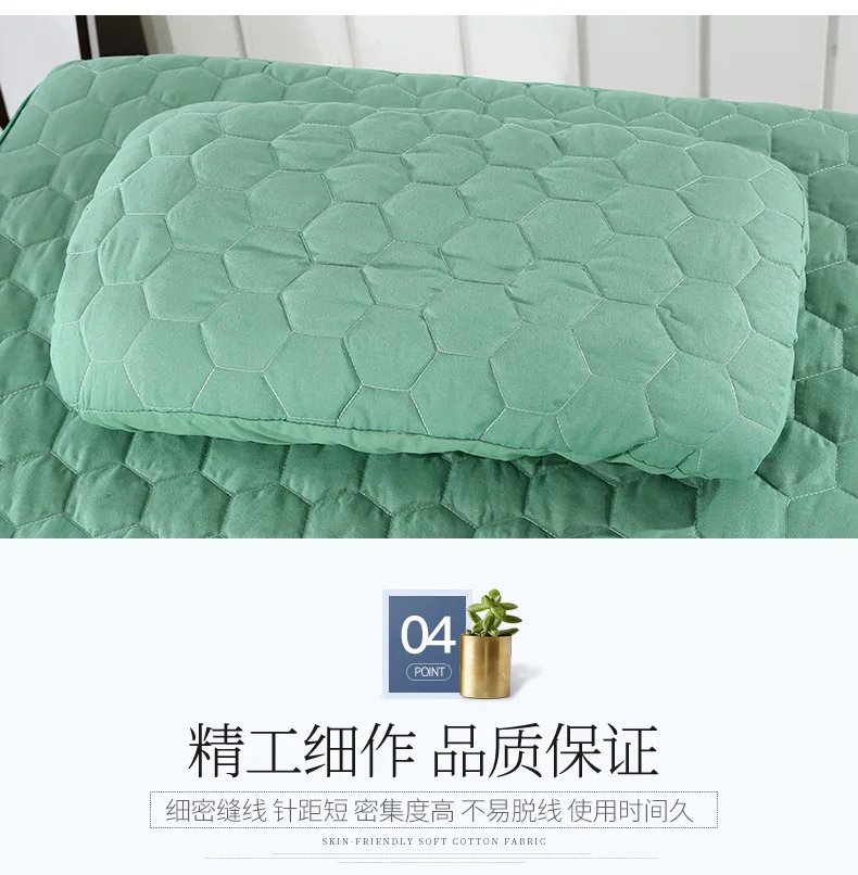 蝴蝶-孔雀兰1_11