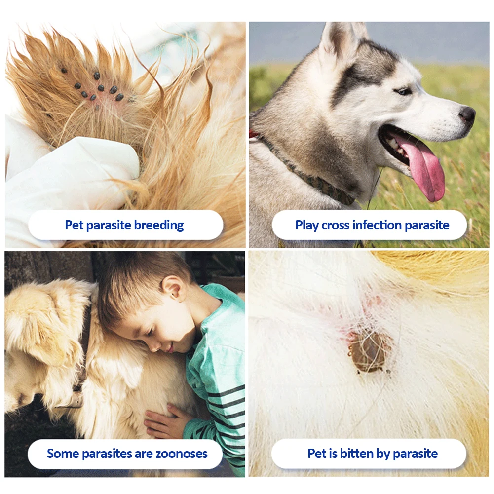 Adjustable Pets Necklet Cat Accessories Dogs Cats Anti Mosquito Flea Collar Insect Repellent Long-Term Protection