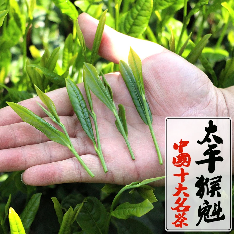 250g 500g Green Tea New Tea Spring Tea Alpine Tea Taiping Monkey Kui Tea, a specialty of Huangshan, Anhui Province