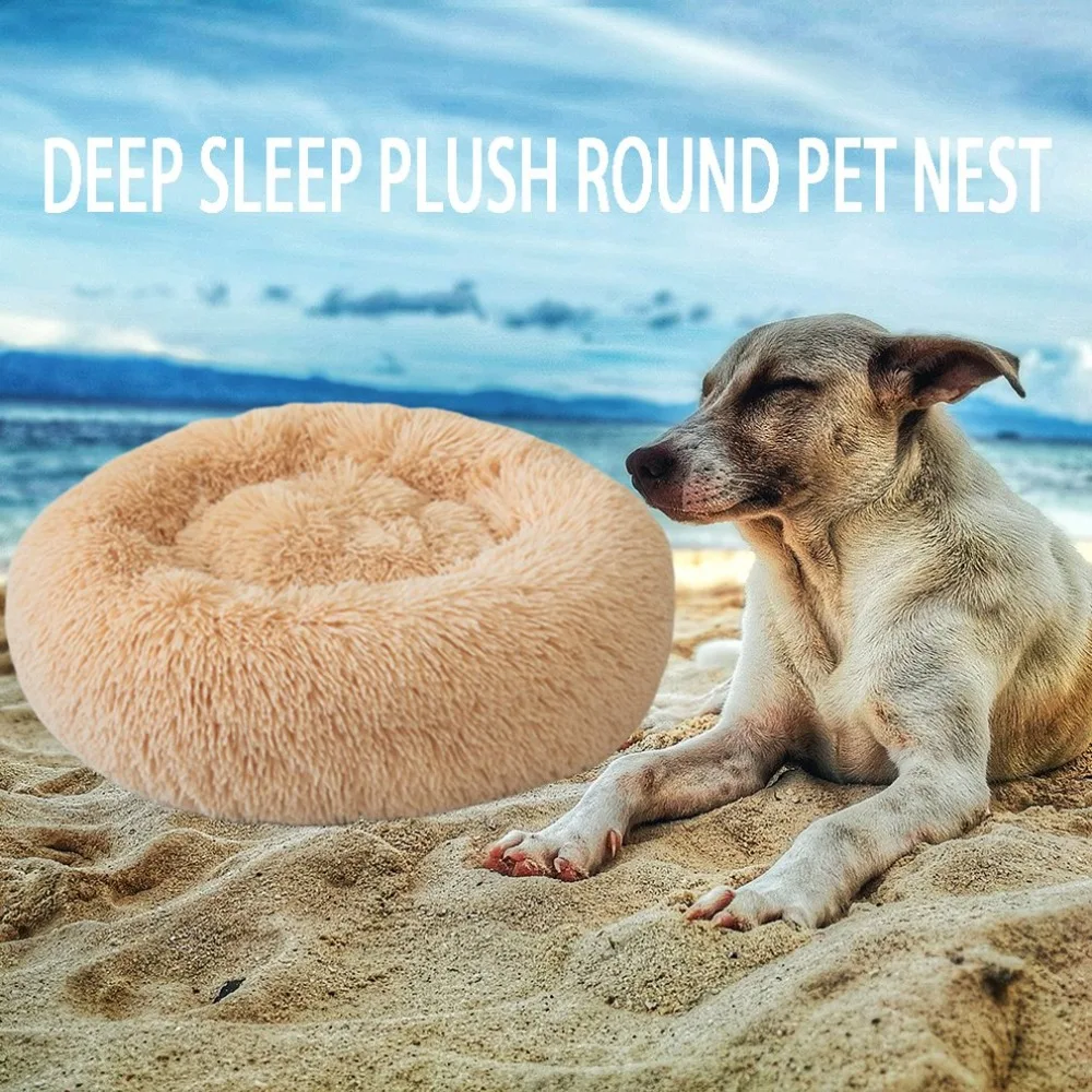 YY11456417-C-20190715-1