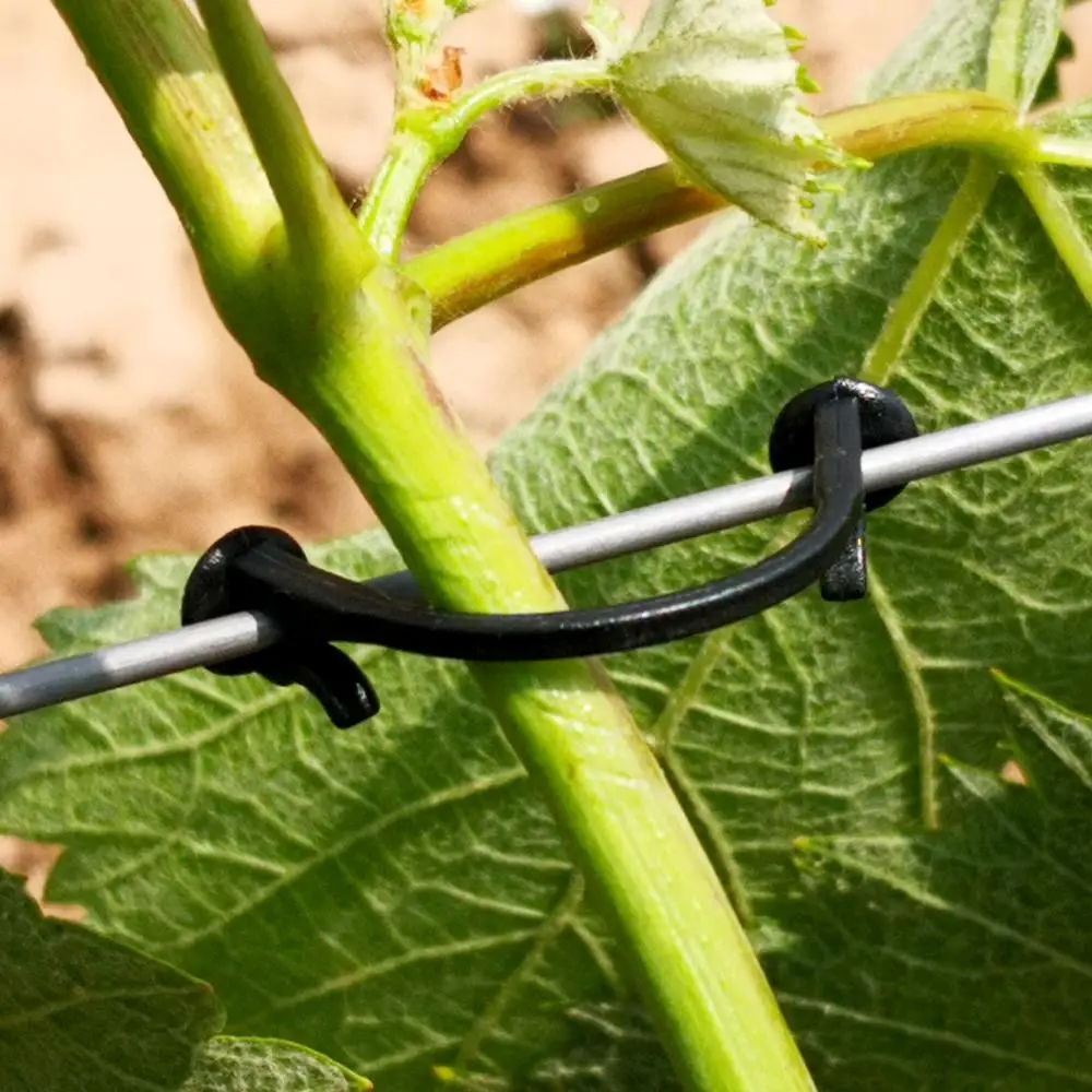 800-1600 Pcs Agricultural Plant Vines Tied Buckle Fixed Lashing Hook Greenhouse Garden Flower Plant Tie for Garden Tools