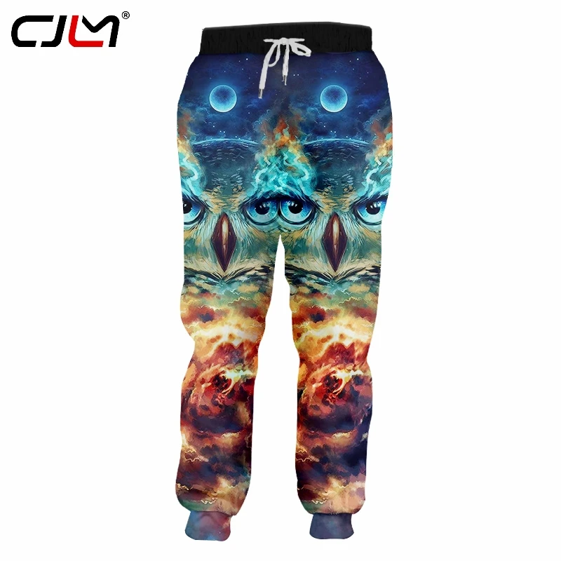 

CJLM 2019 унисекс хип хоп 3D Печатный сервис Oringial Сова на заказ Плюс Размер Sweatpantss Прямая поставка