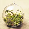 Transparent Round Glass Vase, Clear Flower Plant Stand, Hanging Hydroponic, Home, Office, Wedding, Garden Decor, 10 cm, 12cm 2
