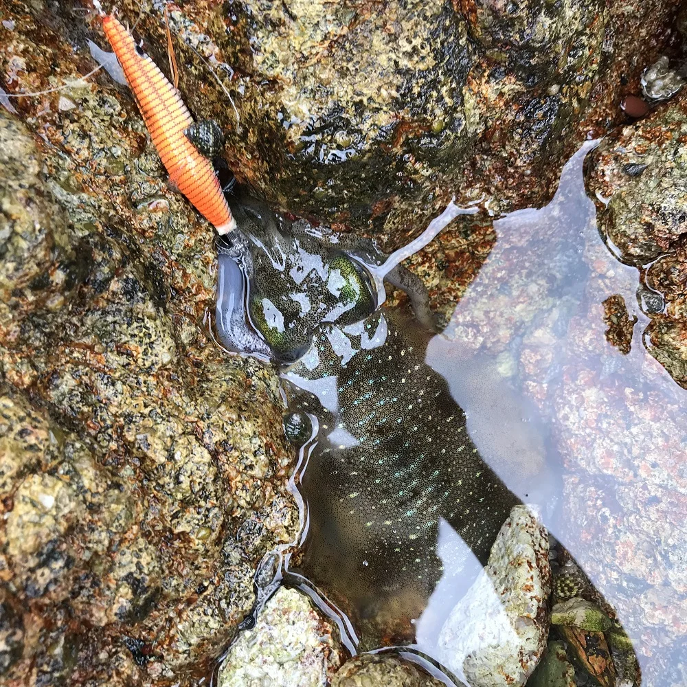 微信图片_20191219092643