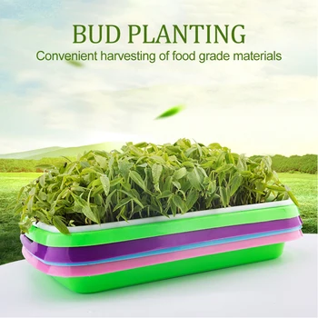 

Plastic Nursery Pots Seed Sprouter Tray PP Soil-Free Big Capacity Wheatgrass Grower Seedling Tray Sprout Plate Hydroponic