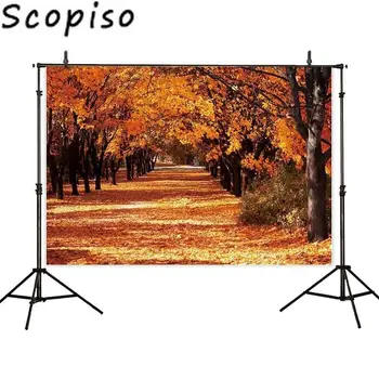 

Scopiso background for photography studio autumn Fallen leaves trees path nature scenery professional printed decoration Props