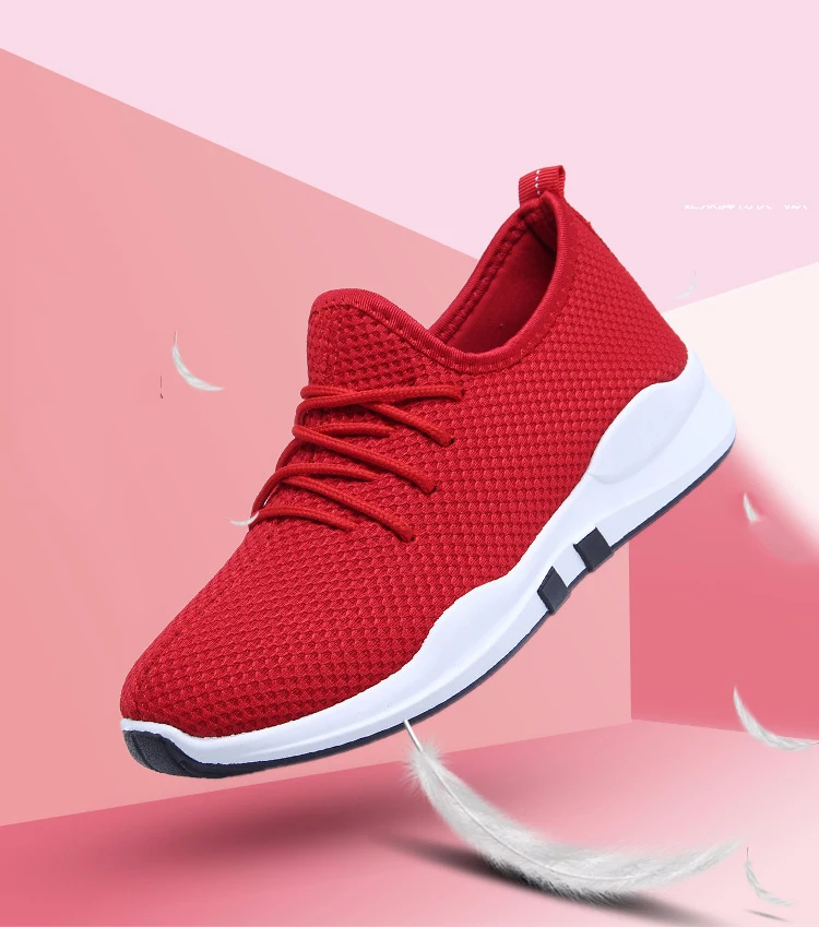 8148643830_203562608