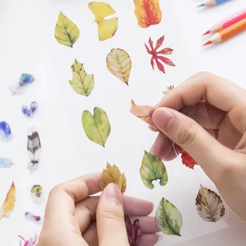 

Transparent PVC Stickers Hand Books Diary Diy Album Decoration Materials Stickers South Korea Creative Growth Manual Gift