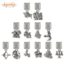 Hapiship, 13 мм, ширина,, Дейзи, тибетское серебро, 12 созвездий, браслет, подходит для изготовления ювелирных изделий из нержавеющей стали, 13 мм-DJ31